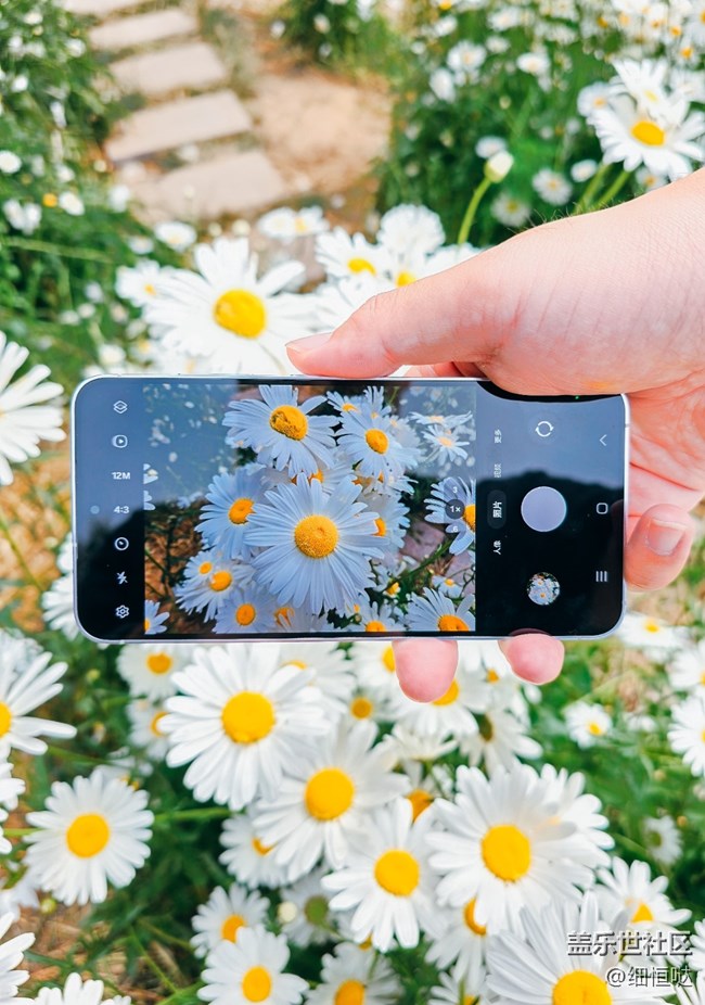 青島星部落S24野餐品鑒會活動回顧