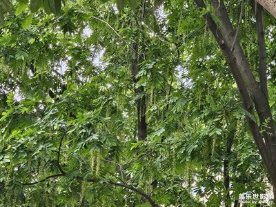 【悠閑時光】+到處走走