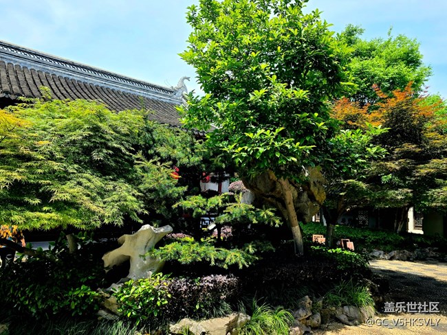 【南翔檀園線下攝影活動(dòng)】+江南