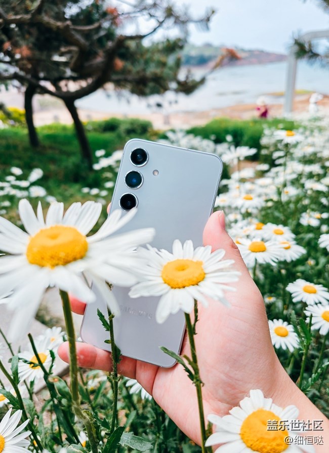 青島星部落S24野餐品鑒會活動回顧