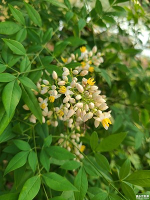 【悠閑時(shí)光】+ 傍晚散步