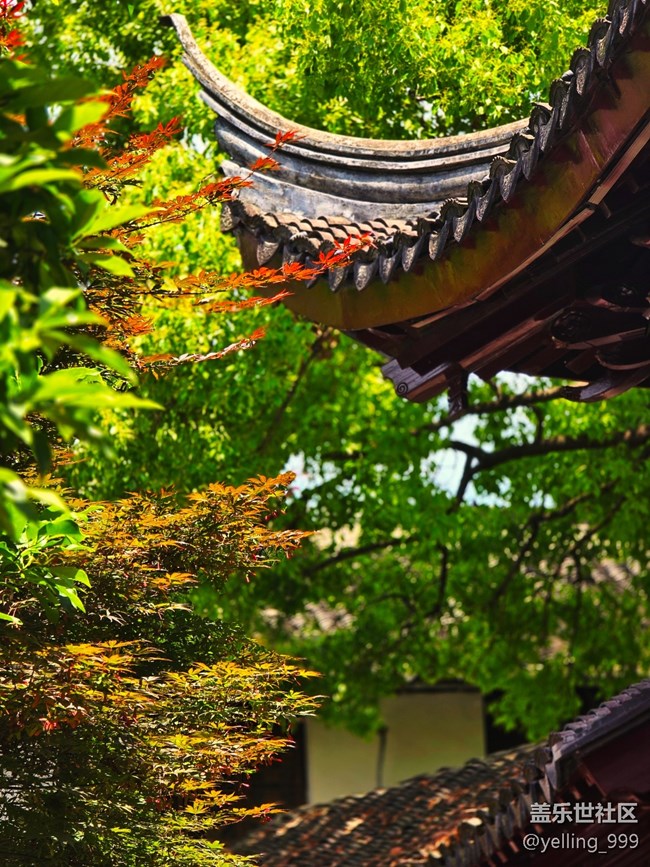 上海星部落5月19日南翔檀園線(xiàn)下攝影活動(dòng)回顧帖