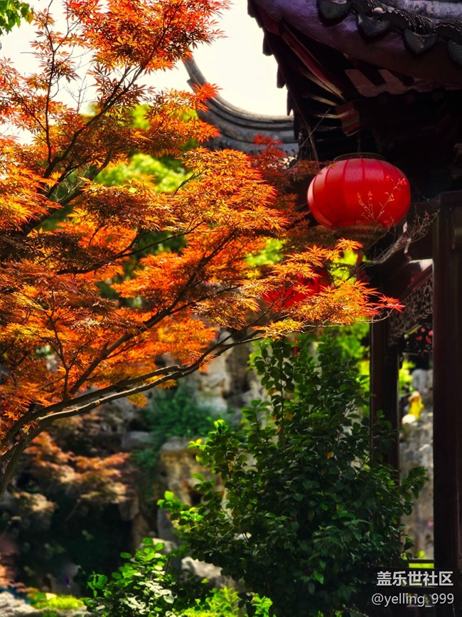 上海星部落5月19日南翔檀園線(xiàn)下攝影活動(dòng)回顧帖