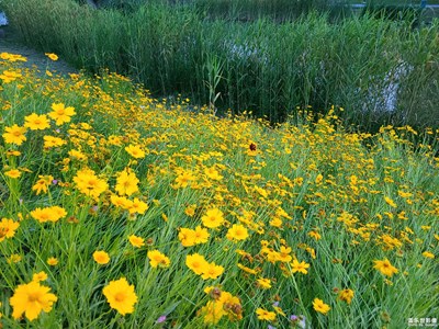 【悠閑時光】賞花