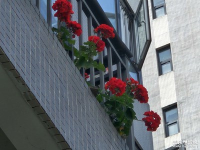 【悠閑時光】+?散步時刻