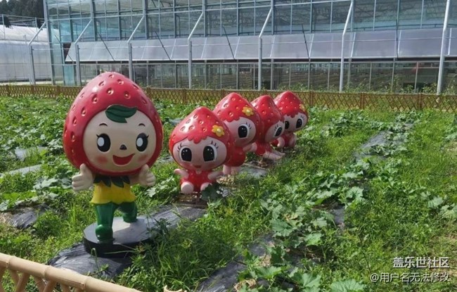 【初夏的顏色】田間美景