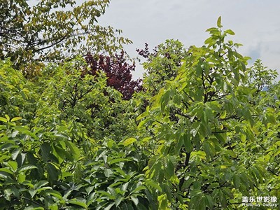 【悠閑時光】+時光匆匆