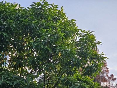 【悠閑時光】+看風(fēng)景