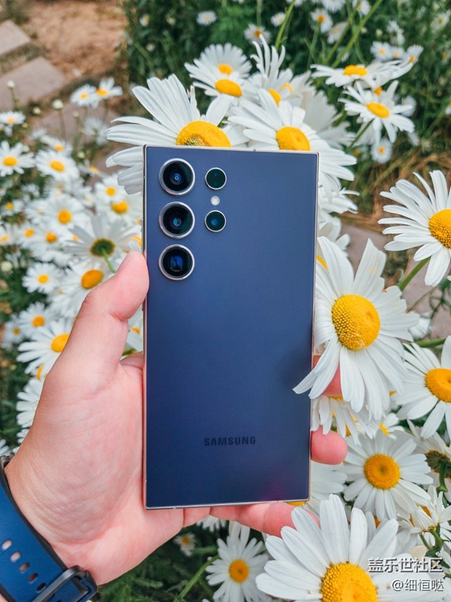 青島星部落S24野餐品鑒會活動回顧