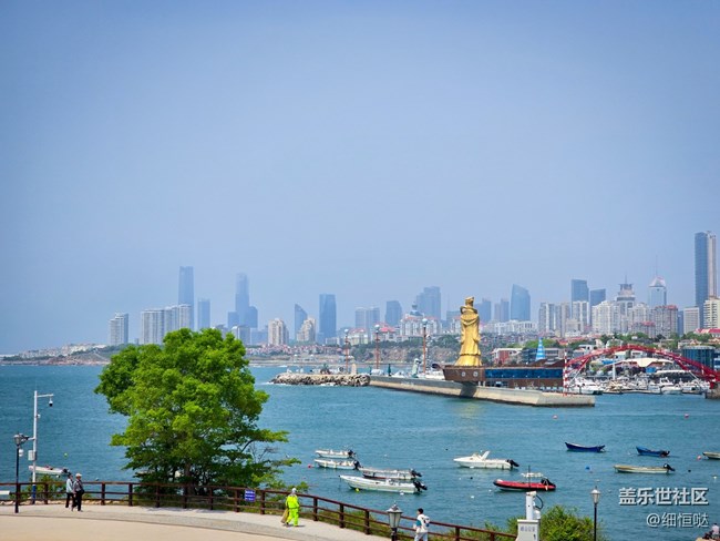 青島星部落S24野餐品鑒會活動回顧