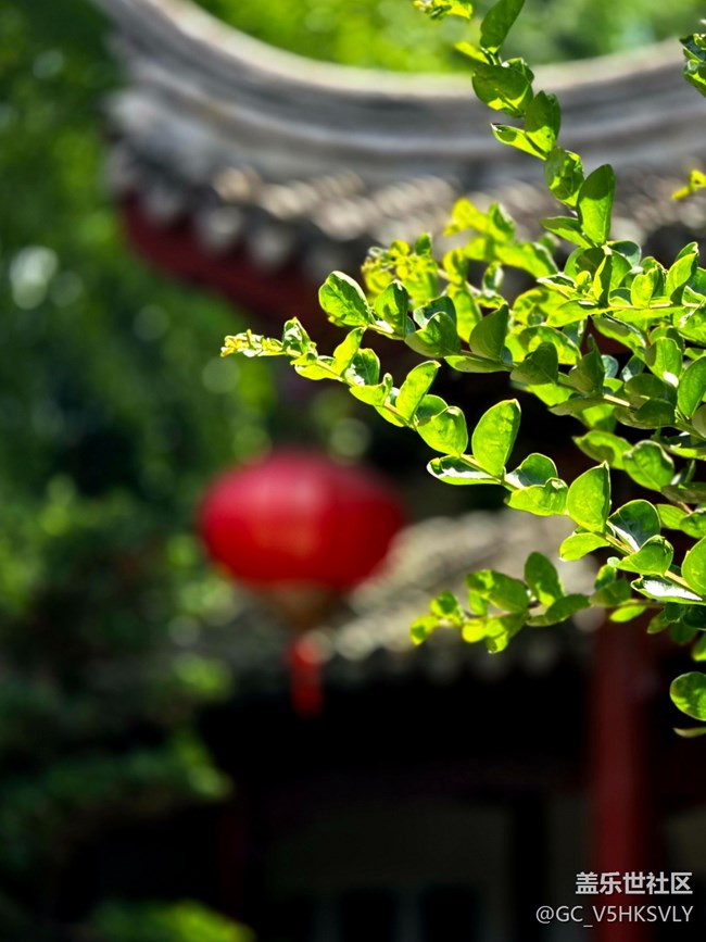 【南翔檀園線下攝影活動(dòng)】+江南