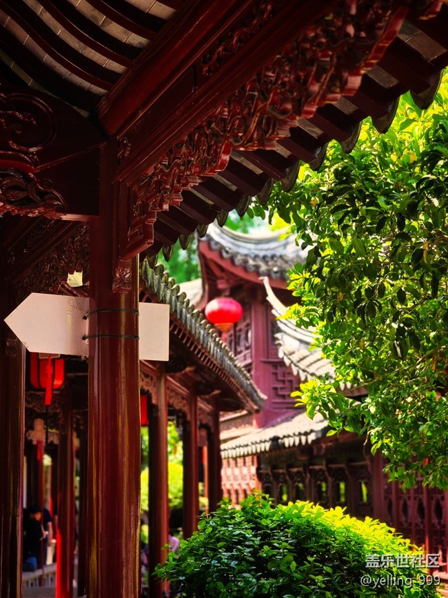 上海星部落5月19日南翔檀園線(xiàn)下攝影活動(dòng)回顧帖