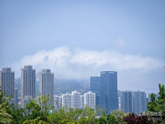 青島星部落S24野餐品鑒會活動回顧