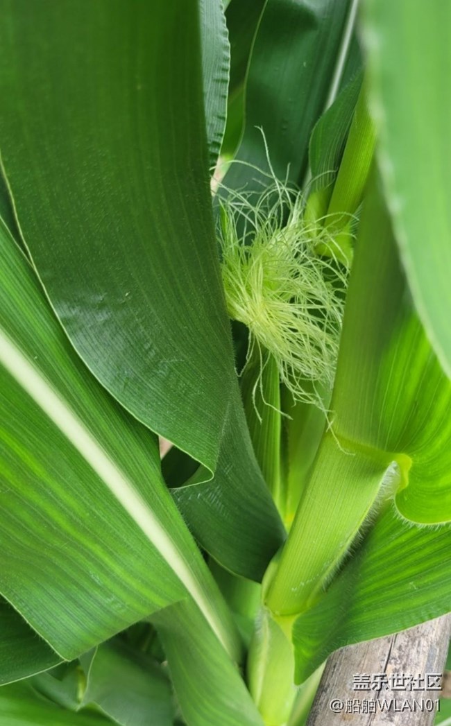 【輕夏趣生活】野外游走