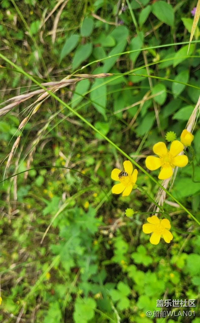 【輕夏趣生活】野外游走