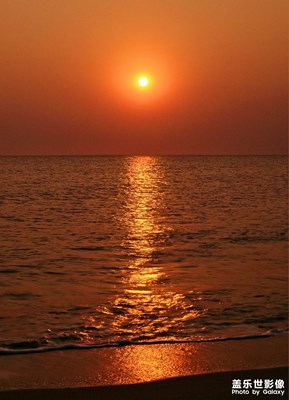 【時光留影】天涯共此時