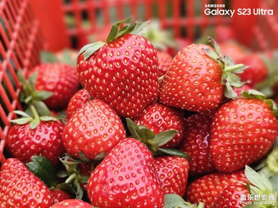 Galaxy S23ultra隨手拍兩張