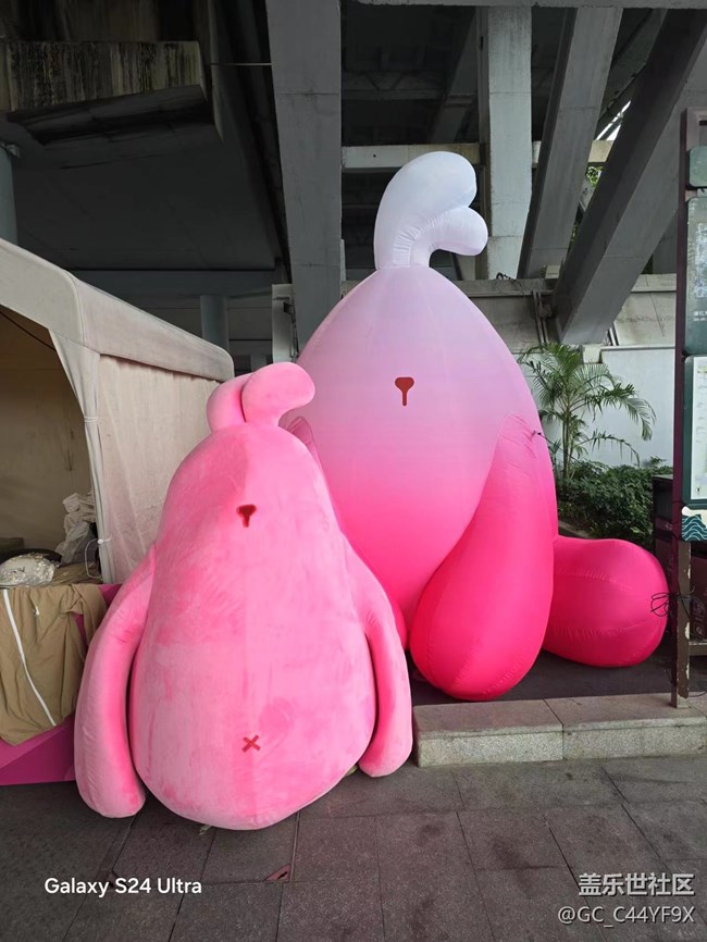 【樂見潮向音樂嘉年華】我與音樂節(jié)的邂逅