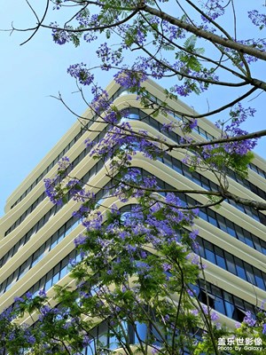 【時(shí)光留影】+ 五月天的花街