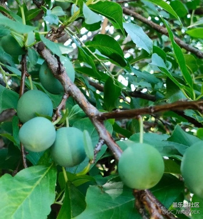 【說走就走的旅行】爬山看風景