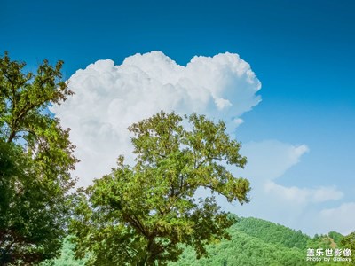 【時光留影】+ 云