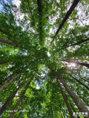 【時光留影】初夏的月湖公園