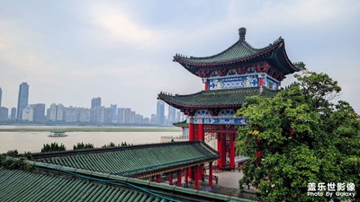 包容世間萬物，各得其所。