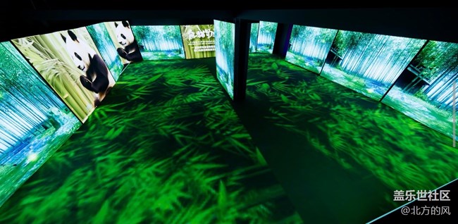 【熊貓星球光影展】+帶著三星手機來參觀