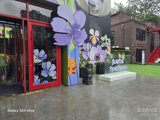 【熊貓星球光影展】 和大熊貓一起吃竹子