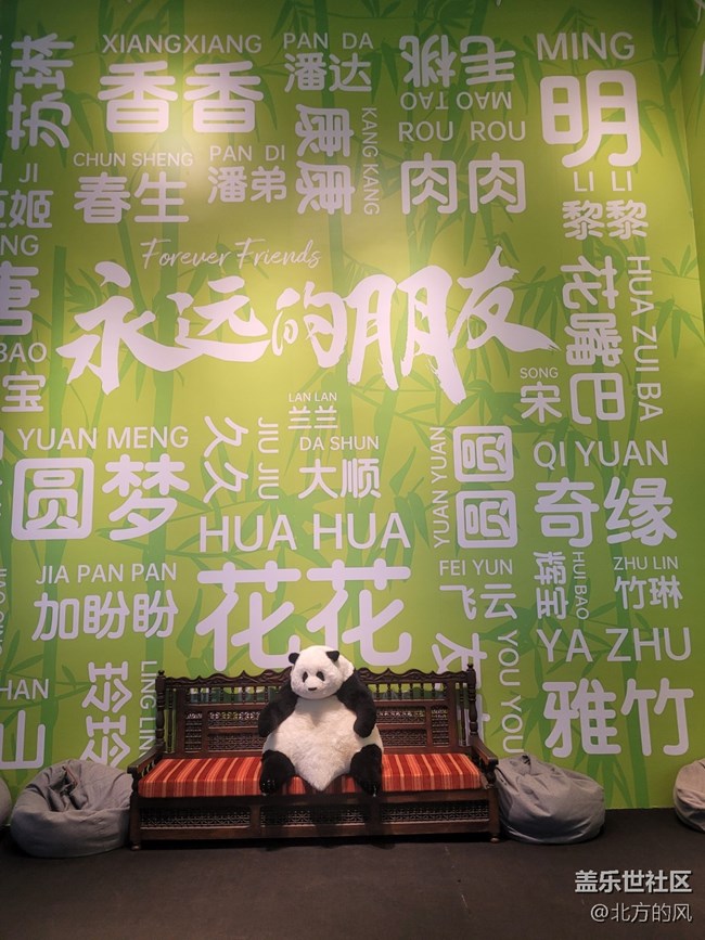 【熊貓星球光影展】+帶著三星手機來參觀