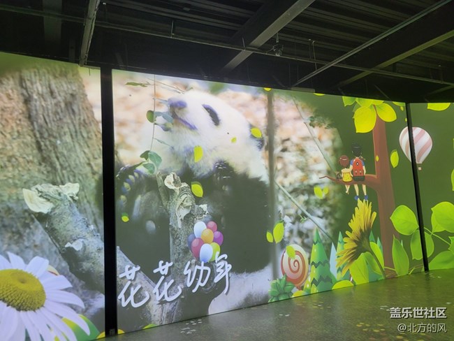 【熊貓星球光影展】+帶著三星手機來參觀