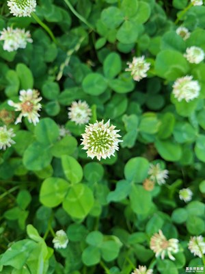 【時光留影】夏日好時光