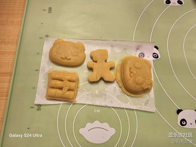 【熊貓星球光影展】 和大熊貓一起吃竹子