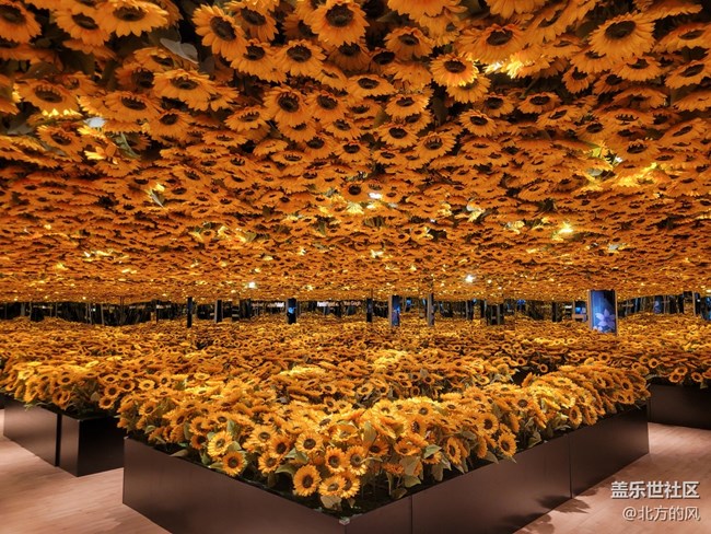 【熊貓星球光影展】+帶著三星手機來參觀