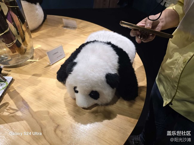 【熊貓星球光影展】 和大熊貓一起吃竹子