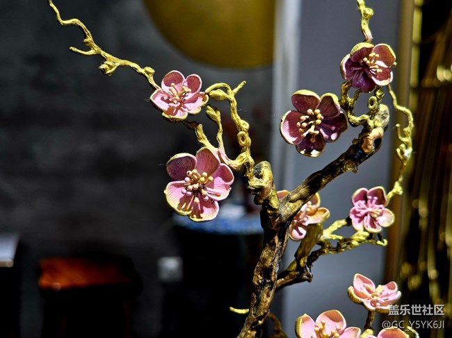 【M50創(chuàng)意園線下攝影活動(dòng)】+靜物