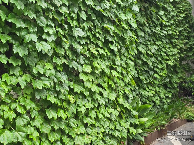 #五月的休閑時(shí)光——citywalk