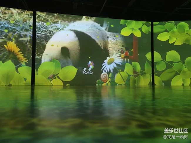 【熊貓星球光影展】+用三星手機找尋我最愛的Panda