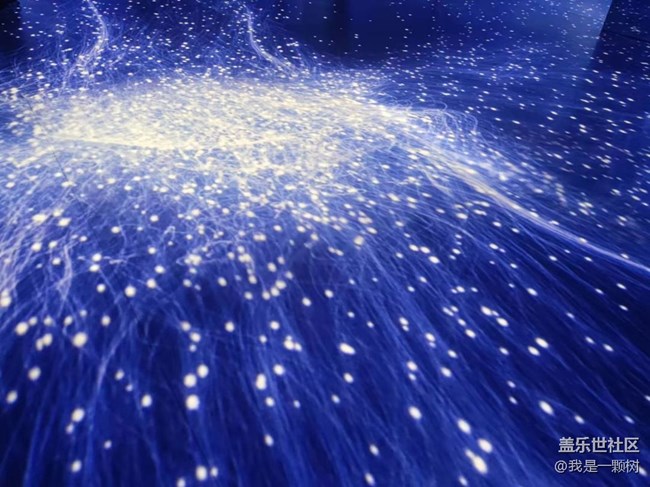 【熊貓星球光影展】+用三星手機找尋我最愛的Panda