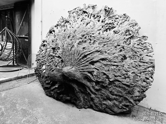 【M50創(chuàng)意園線下攝影活動】+黑白風