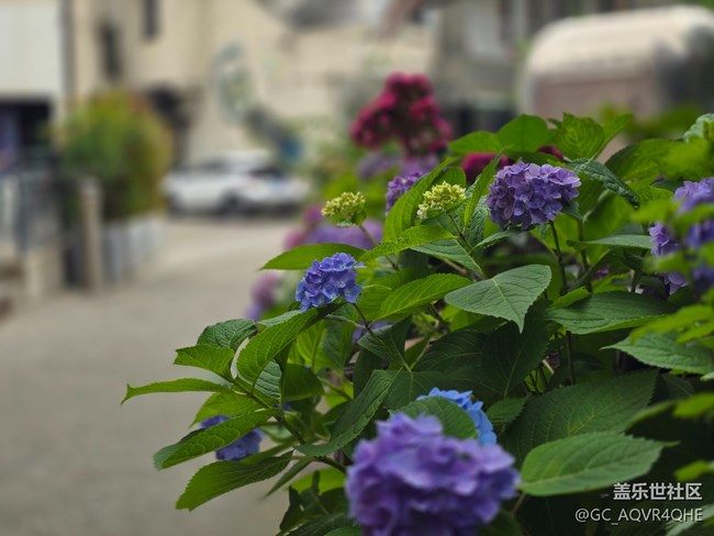 #五月的休閑時(shí)光——citywalk