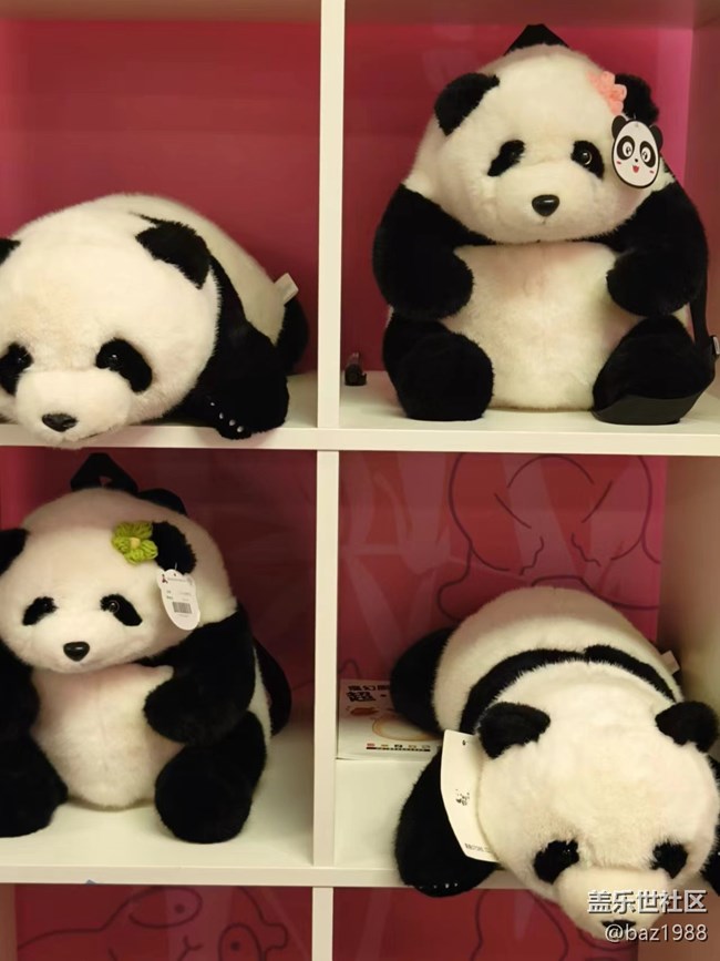 【熊貓星球光影展】+三星帶您看大熊貓