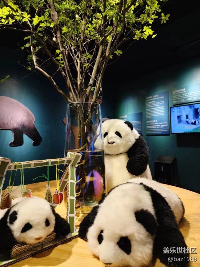 【熊貓星球光影展】+三星帶您看大熊貓