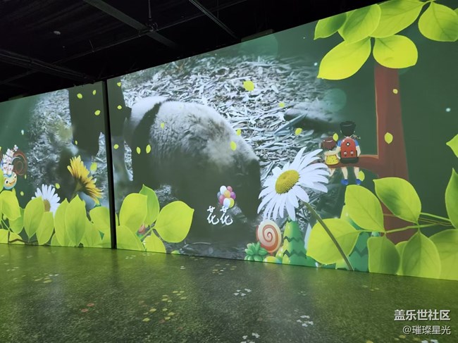 【捕捉初夏之美】熊貓花花的快樂童年