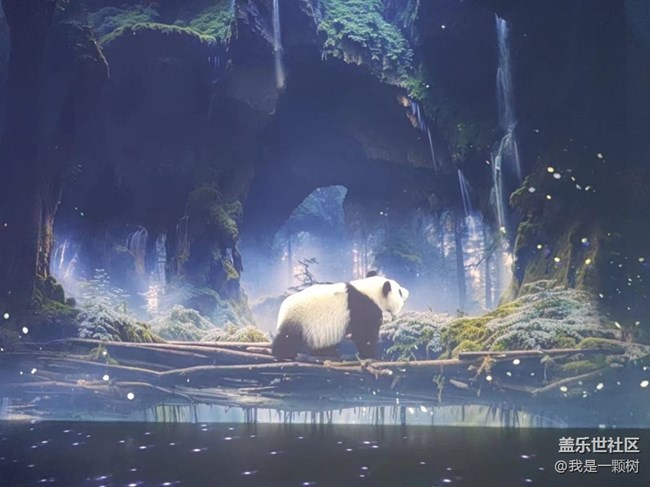 【熊貓星球光影展】+用三星手機找尋我最愛的Panda