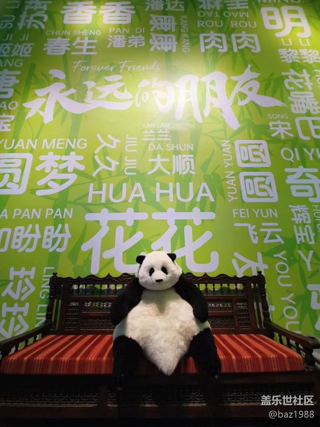 【熊貓星球光影展】+三星帶您看大熊貓