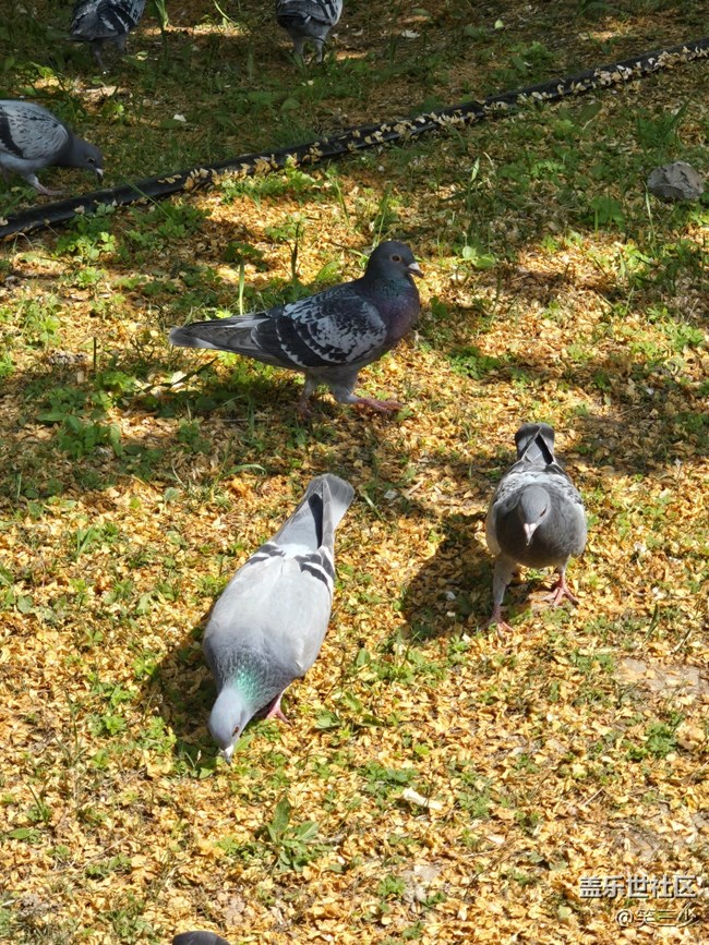 #五月的休閑時光-小動物