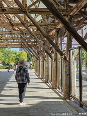 已開獎【蓋樂世影像周賽第346期】——尋光獵影