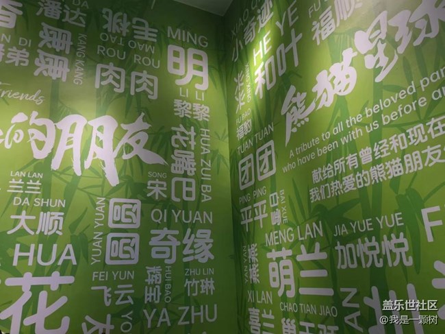 【熊貓星球光影展】+用三星手機找尋我最愛的Panda