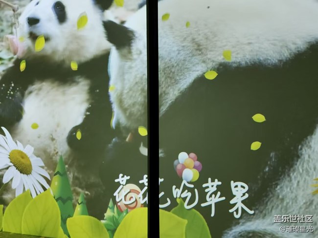 【捕捉初夏之美】熊貓花花的快樂童年